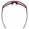 SKYRYSE Burgundy Matt 1